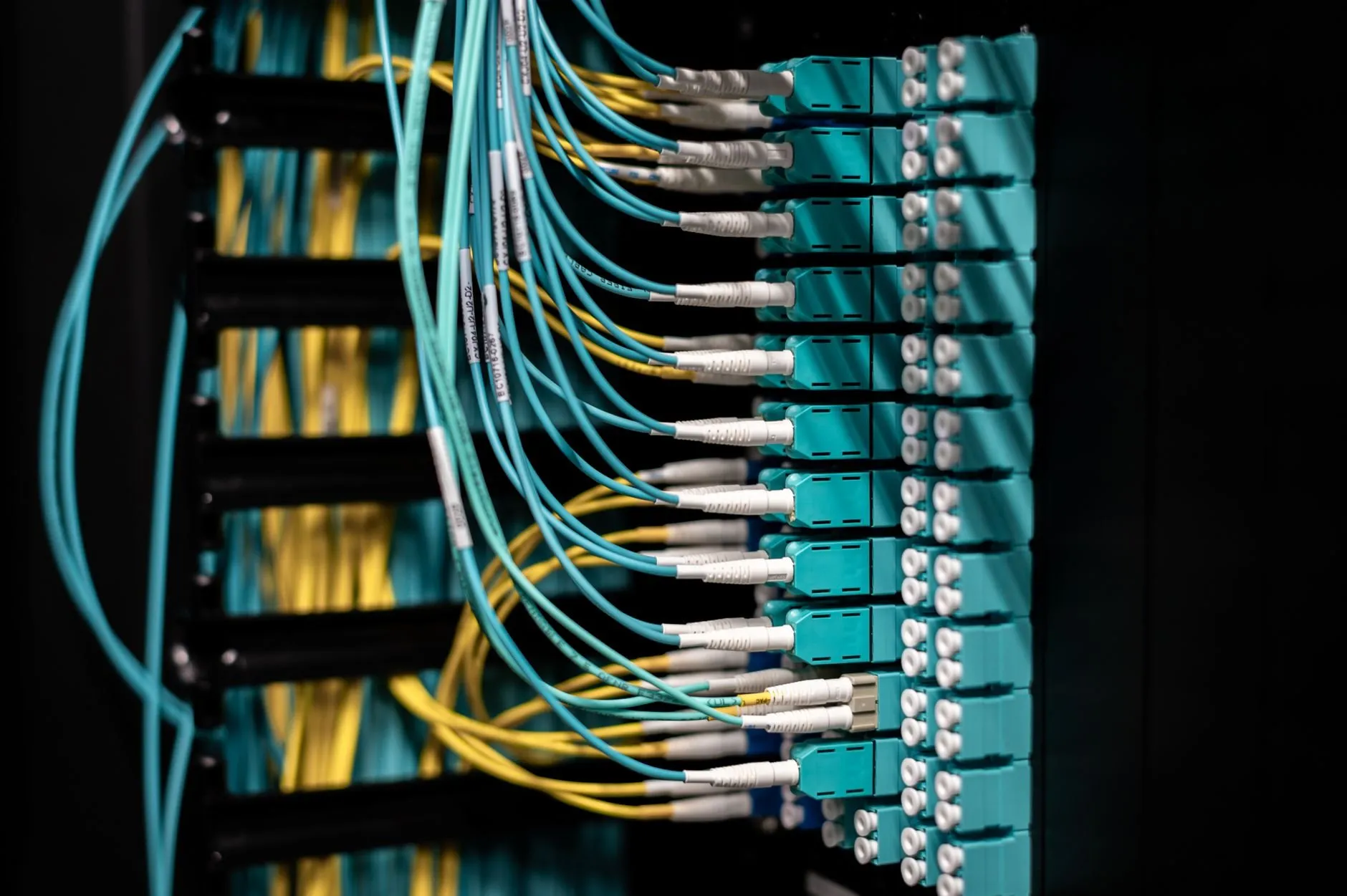 Fibre patch cables plugged into a rack panel